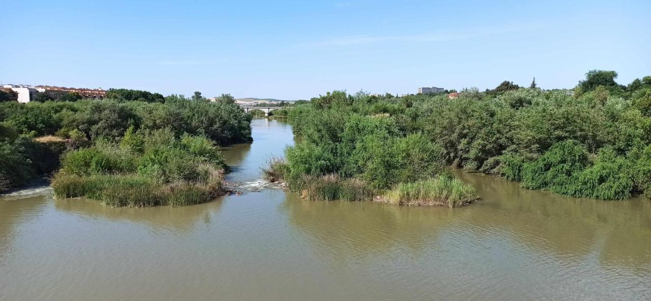 La Pequena Taifa I Appartement Córdoba Buitenkant foto